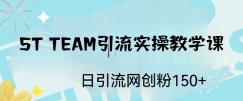 ST TEAM引流实操课，日引流网创粉100+-风歌资源网