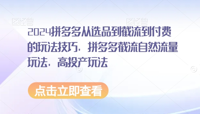 2024拼多多从选品到截流到付费的玩法技巧，拼多多截流自然流量玩法，高投产玩法-风歌资源网