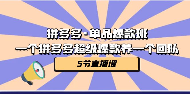拼多多·单品爆款班，一个拼多多超级爆款养一个团队（5节直播课）-风歌资源网