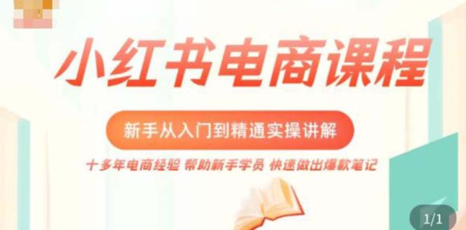 小红书电商新手入门到精通实操课，从入门到精通做爆款笔记，开店运营-风歌资源网