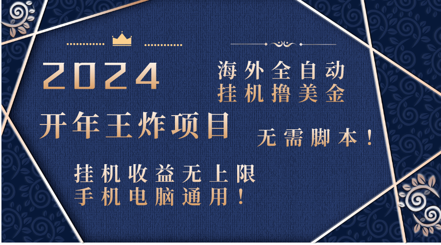 2024海外全自动挂机撸美金项目！手机电脑均可，无需脚本，收益无上限！-风歌资源网