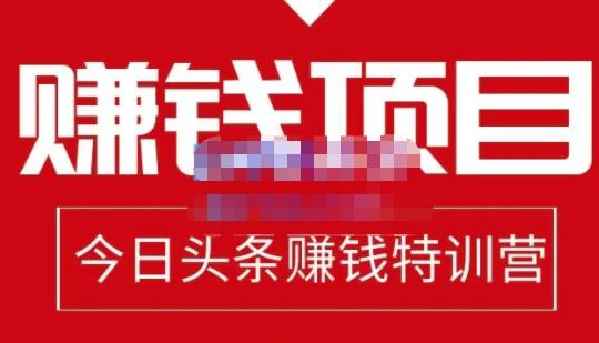 懒人领域·今日头条项目玩法，头条中视频项目，单号收益在50—500可批量￼-风歌资源网