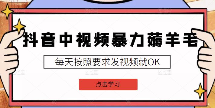 抖音独家起号，一天引流500+精准粉，适合各类行业（9节视频课）-风歌资源网