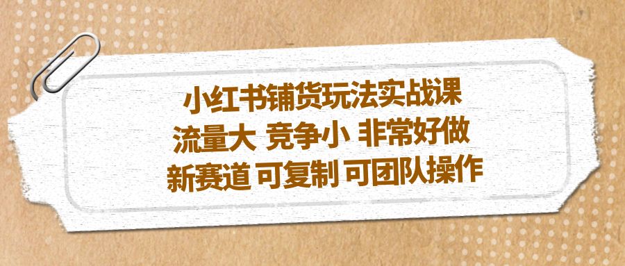 小红书铺货玩法实战课，流量大 竞争小 非常好做 新赛道 可复制 可团队操作-风歌资源网