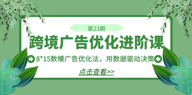 跨境广告·优化进阶课·第23期，8*15数模广告优化法，用数据驱动决策-风歌资源网