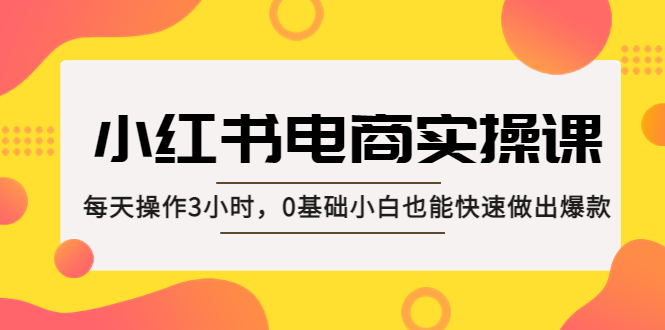 小红书·电商实操课：每天操作3小时，0基础小白也能快速做出爆款！-风歌资源网