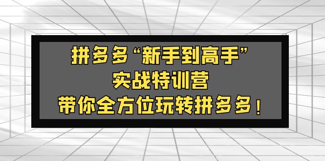 拼多多“新手到高手”实战特训营：带你全方位玩转拼多多！-风歌资源网