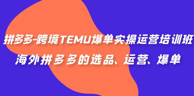 拼多多-跨境TEMU爆单实操运营培训班，海外拼多多的选品、运营、爆单-风歌资源网