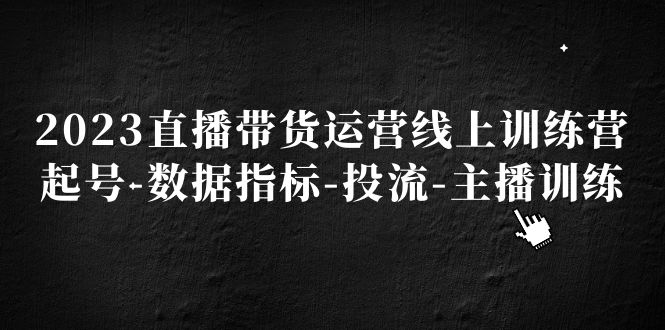 2023直播带货运营线上训练营，起号-数据指标-投流-主播训练-风歌资源网