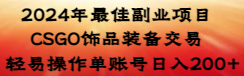 2024年最佳副业项目 CSGO饰品装备交易 轻易操作单账号日入200+-风歌资源网