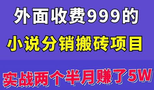 外面收费999的小说分销搬砖项目：实战两个半月赚了5W块，操作简单！￼-风歌资源网