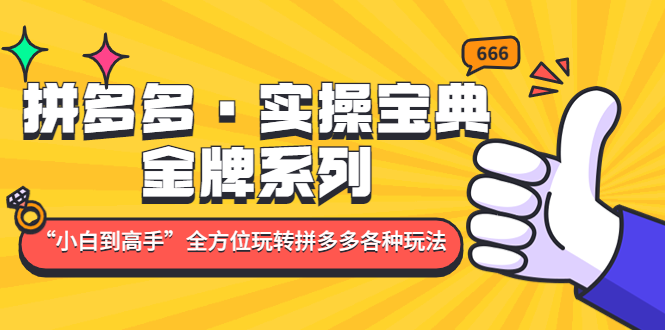 拼多多·实操宝典：金牌系列“小白到高手”带你全方位玩转拼多多各种玩法-风歌资源网