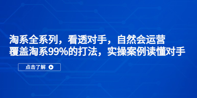 淘系全系列，看透对手，自然会运营，覆盖淘系99%·打法，实操案例读懂对手-风歌资源网