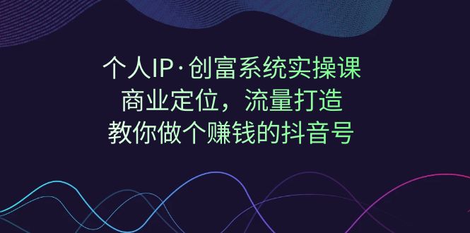 个人IP·创富系统实操课：商业定位，流量打造，教你做个赚钱的抖音号-风歌资源网