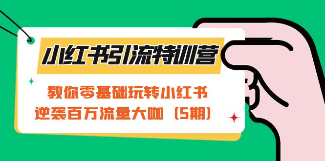 小红书引流特训营-第5期：教你零基础玩转小红书，逆袭百万流量大咖-风歌资源网