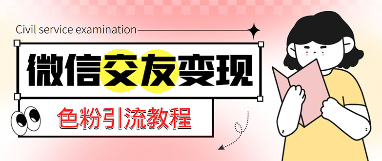 微信交友变现项目，吸引全网LSP男粉精准变现，小白也能轻松上手，日入500+-风歌资源网