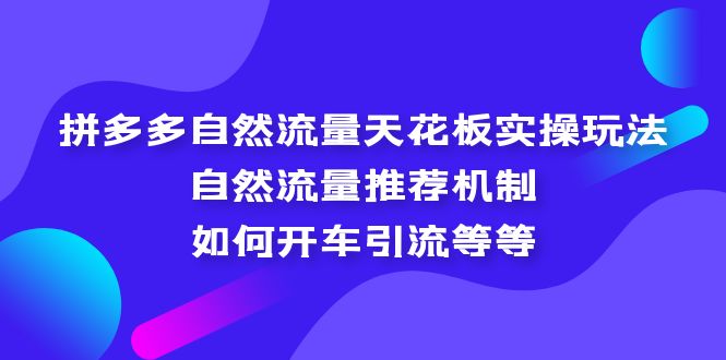 拼多多自然流量天花板实操玩法：自然流量推荐机制，如何开车引流等等-风歌资源网