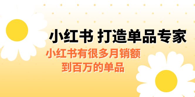 某公众号付费文章《小红书 打造单品专家》小红书有很多月销额到百万的单品-风歌资源网