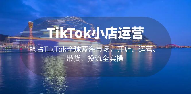 TikTok小店运营 抢占TikTok全球蓝海市场，开店、运营、带货、投流全实操-风歌资源网