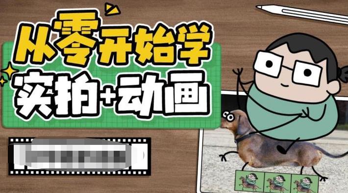 从零开始学实拍加动画，实拍加动画创意教程（49节视频课）-风歌资源网