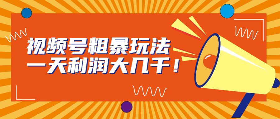 视频号粗暴玩法，一天利润大几千！-风歌资源网