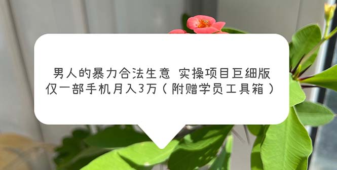 男人的暴力合法生意实操项目巨细版：仅一部手机月入3w（附赠学员工具箱）-风歌资源网