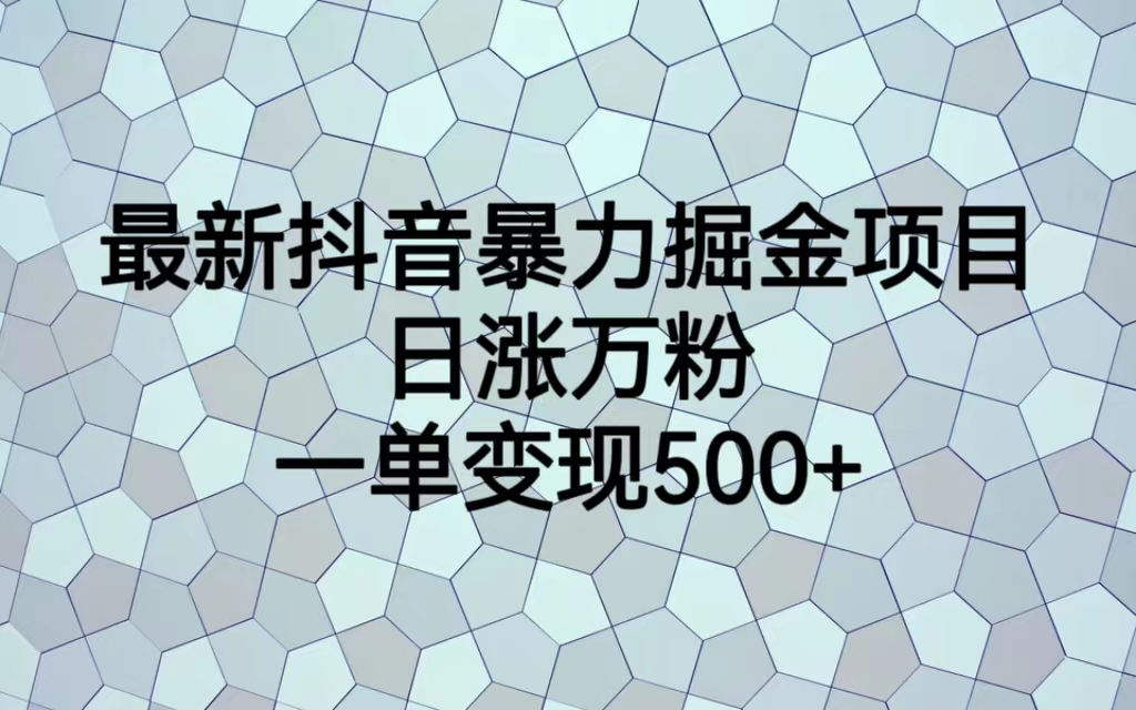 最火热的抖音暴力掘金项目，日涨万粉，多种变现方式，一单变现可达500+-风歌资源网