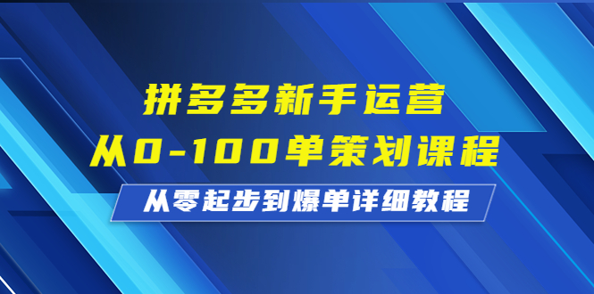 拼多多新手运营从0-100单策划课程，从零起步到爆单详细教程-风歌资源网