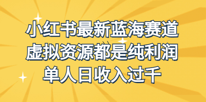 外面收费1980的小红书最新蓝海赛道，虚拟资源都是纯利润，单人日收入过千-风歌资源网