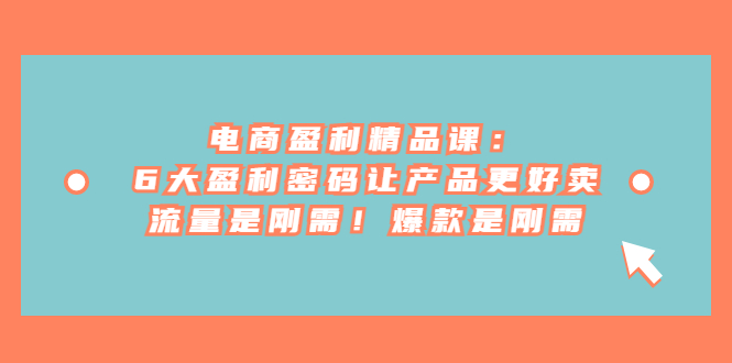 电商 盈利精品课：6大盈利 密码让产品更好卖，流量是刚需！爆款是刚需-风歌资源网