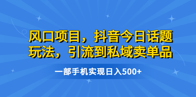 风口项目，抖音今日话题玩法，引流到私域卖单品，一部手机实现日入500+-风歌资源网