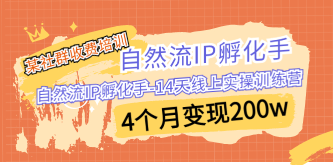 某社群收费培训：自然流IP 孵化手-14天线上实操训练营 4个月变现200w-风歌资源网