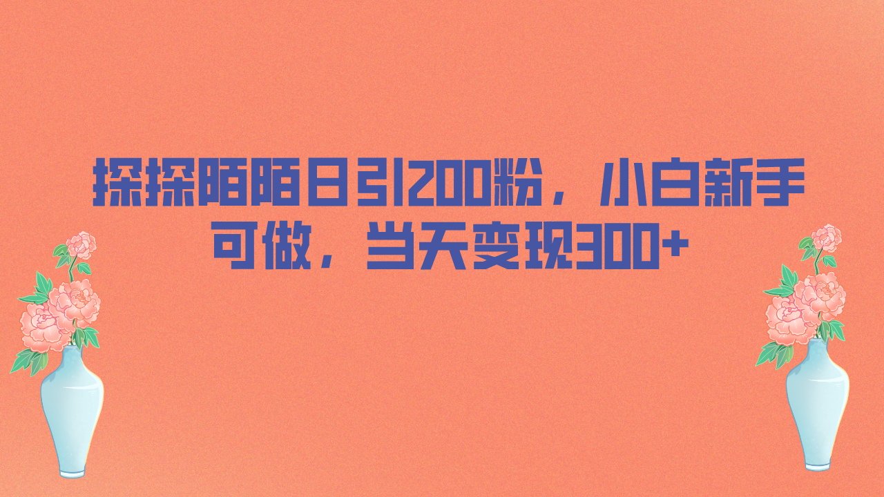 探探陌陌日引200粉，小白新手可做，当天就能变现300+-风歌资源网