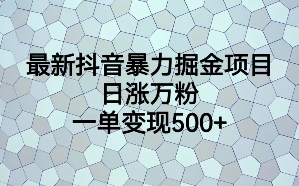 最新抖音暴力掘金项目，日涨万粉，一单变现500+-风歌资源网