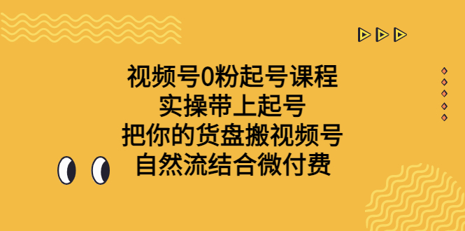 视频号0粉起号课程 实操带上起号 把你的货盘搬视频号 自然流结合微付费-风歌资源网