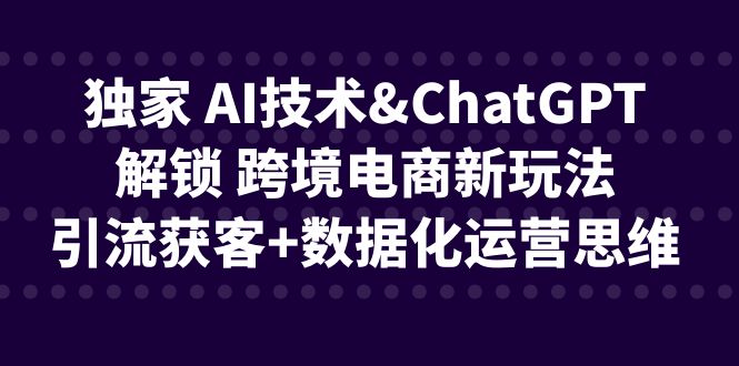 独家 AI技术&ChatGPT解锁 跨境电商新玩法，引流获客+数据化运营思维-风歌资源网