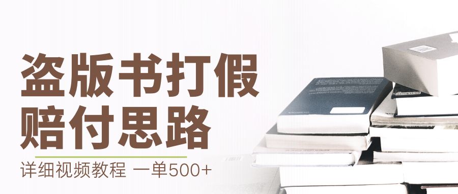 最新盗版书赔付打假项目，一单利润500+【详细玩法视频教程】-风歌资源网