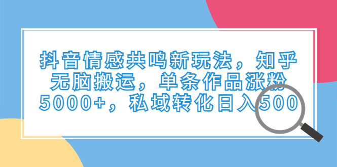 抖音情感共鸣新玩法，知乎无脑搬运，单条作品涨粉5000+，私域转化日入500-风歌资源网