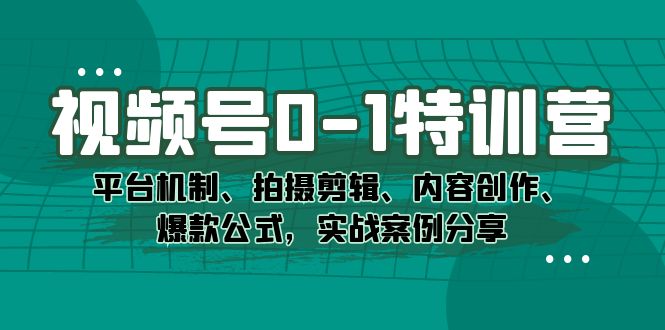 视频号0-1特训营：平台机制、拍摄剪辑、内容创作、爆款公式，实战案例分享-风歌资源网