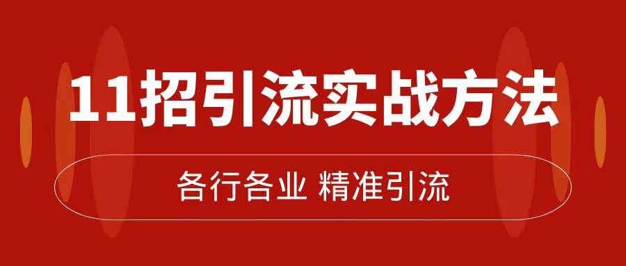 精准引流术：11招引流实战方法，让你私域流量加到爆（11节课完整版）-风歌资源网