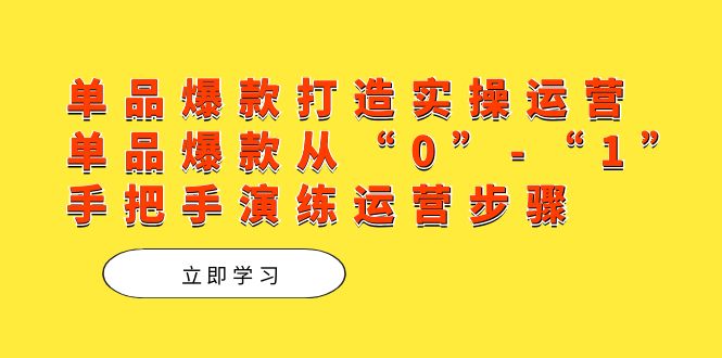 单品爆款打造实操运营，单品爆款从“0”-“1”手把手演练运营步骤-风歌资源网