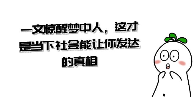 某公众号付费文章《一文 惊醒梦中人，这才是当下社会能让你发达的真相》-风歌资源网