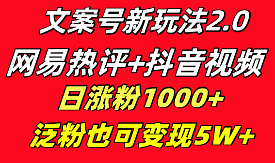 文案号新玩法 网易热评+抖音文案 一天涨粉1000+ 多种变现模式 泛粉也可变现-风歌资源网