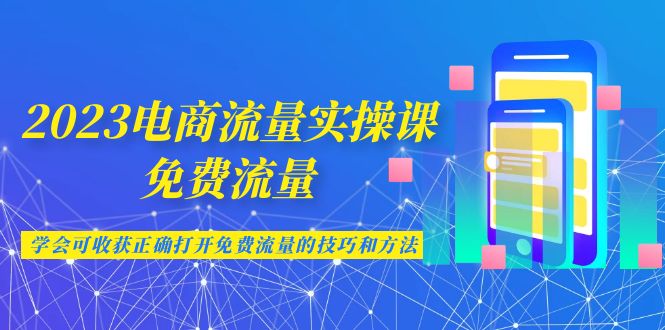 2023电商流量实操课-免费流量，学会可收获正确打开免费流量的技巧和方法-风歌资源网