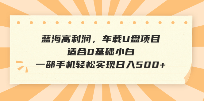 蓝海高利润，车载U盘项目，适合0基础小白，一部手机轻松实现日入500+-风歌资源网