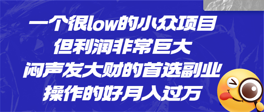 一个很low的小众项目，但利润非常巨大，闷声发大财的首选副业，月入过万-风歌资源网