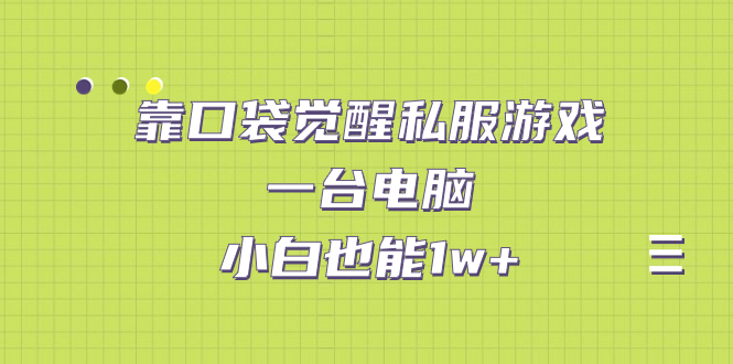 靠口袋觉醒私服游戏，一台电脑，小白也能1w+（教程+工具+资料）-风歌资源网