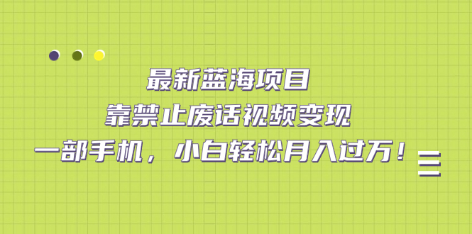 最新蓝海项目，靠禁止废话视频变现，一部手机，小白轻松月入过万！-风歌资源网