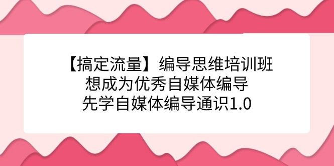【搞定流量】编导思维培训班，想成为优秀自媒体编导先学自媒体编导通识1.0-风歌资源网