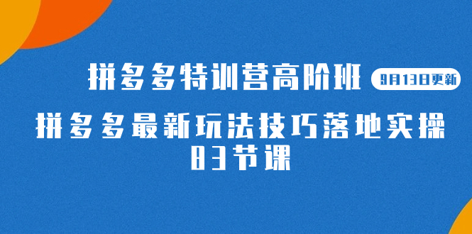 2023拼多多·特训营高阶班【9月19日更新】拼多多最新玩法技巧落地实操-83节-风歌资源网